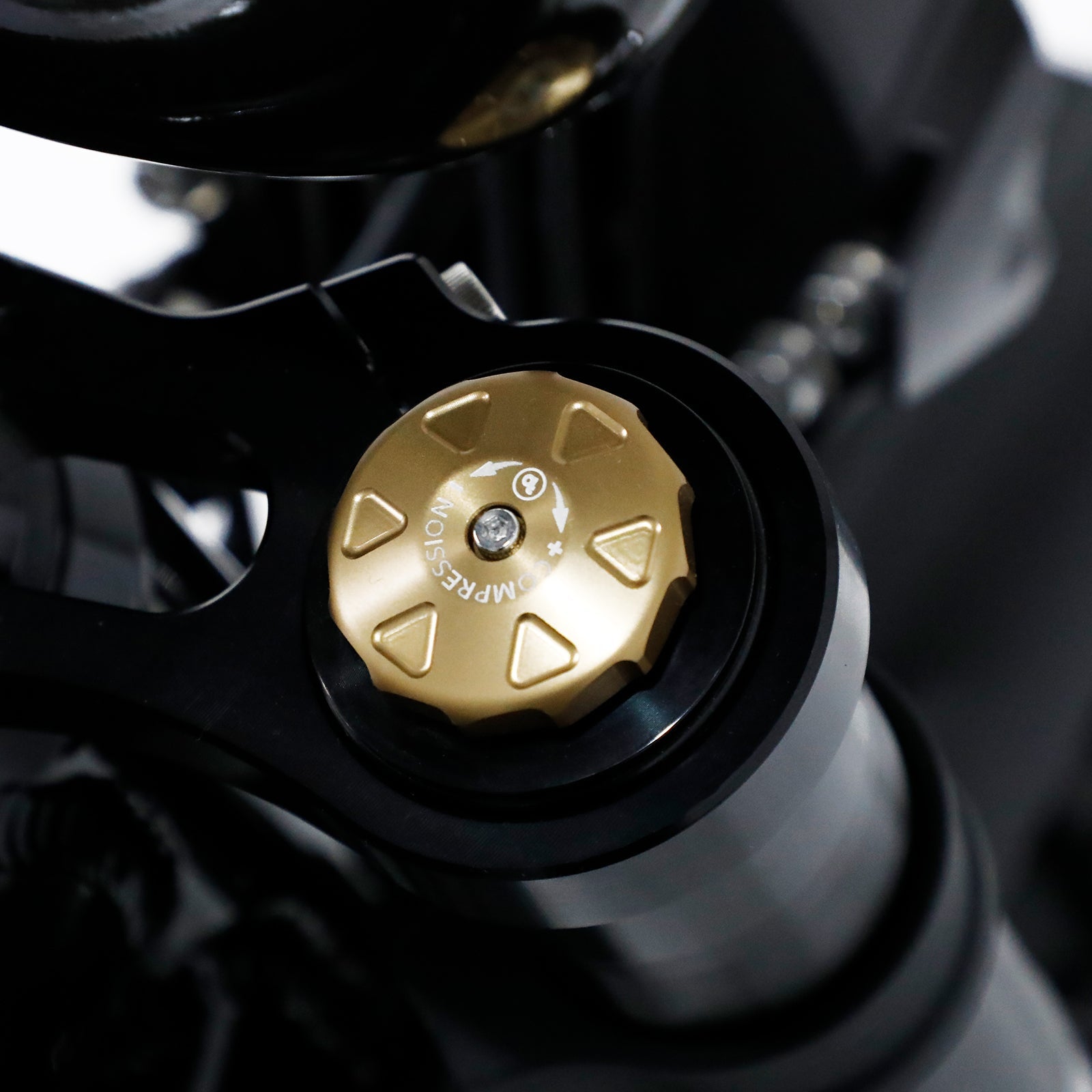 Bagus V3 E-Bike