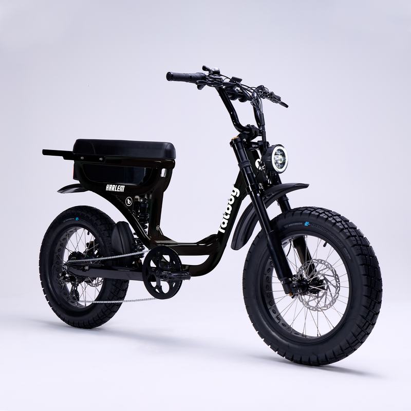 Vélo électrique Harlem V3